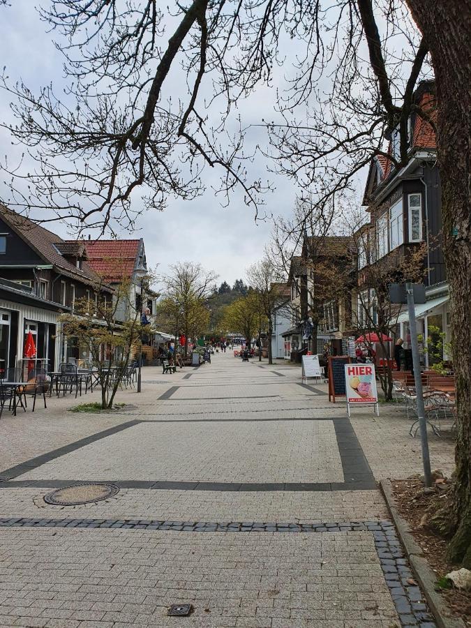 Apartment Am Bocksberg II Goslar Dış mekan fotoğraf